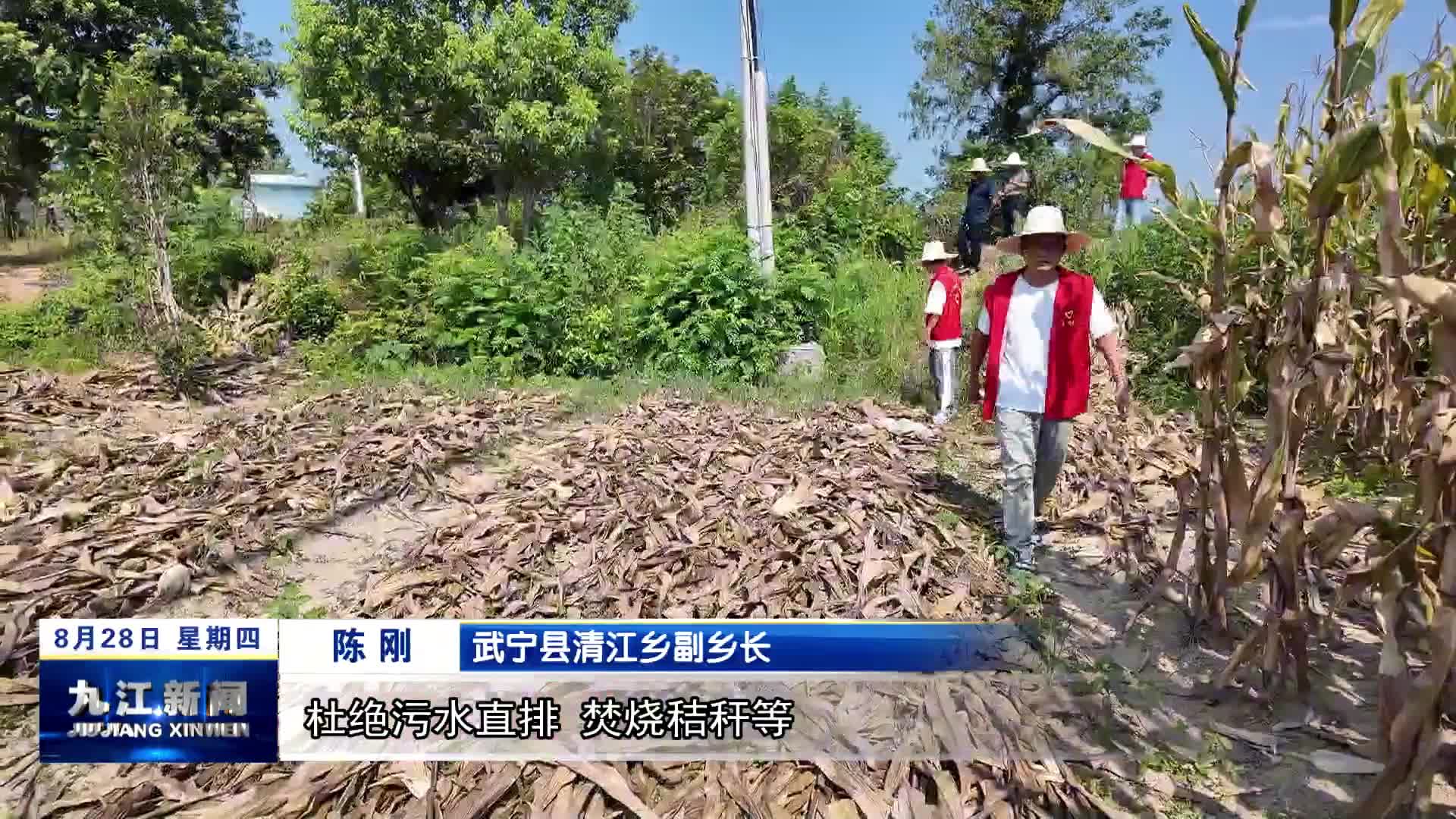 武宁：守护绿水青山 共建生态家园