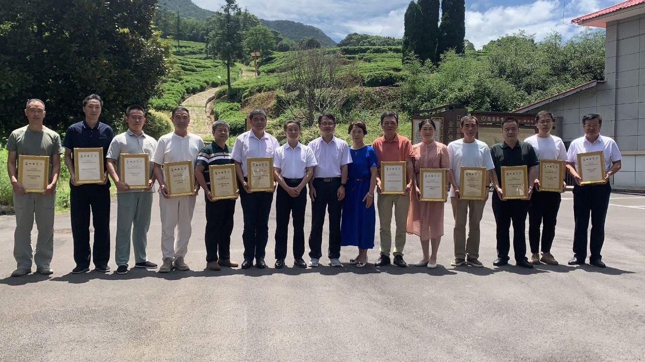 庐山云雾茶实物标准样发布 12家企业茶样入选