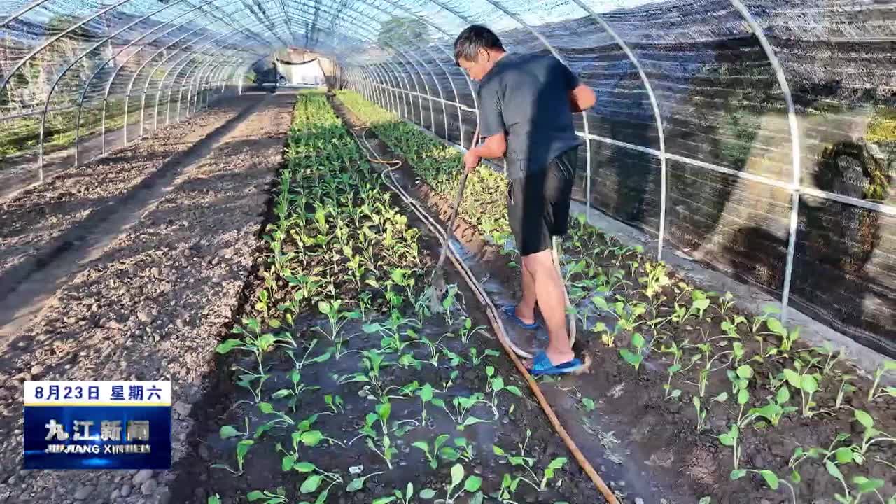 武宁：抗旱保供水　全力守护“菜篮子”