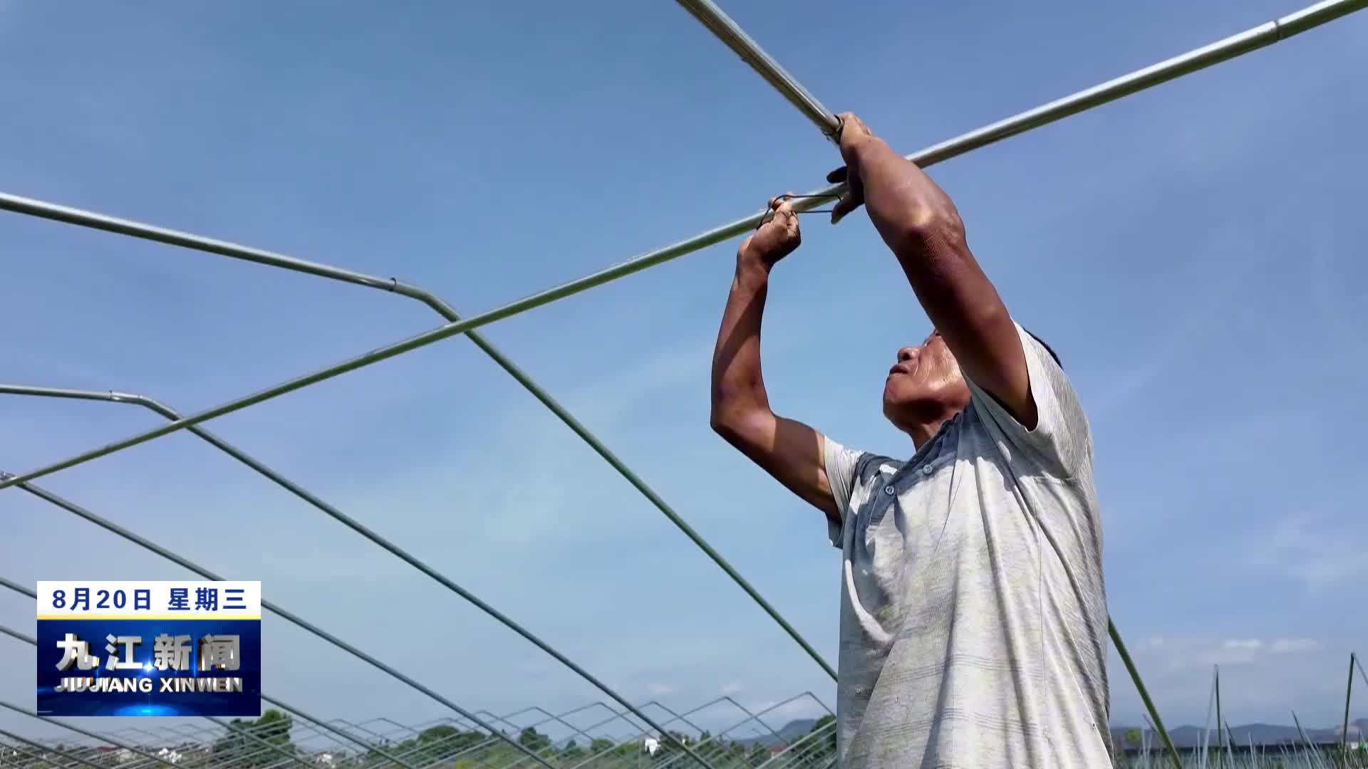 武宁：战高温抢工期　菌棚搭建忙