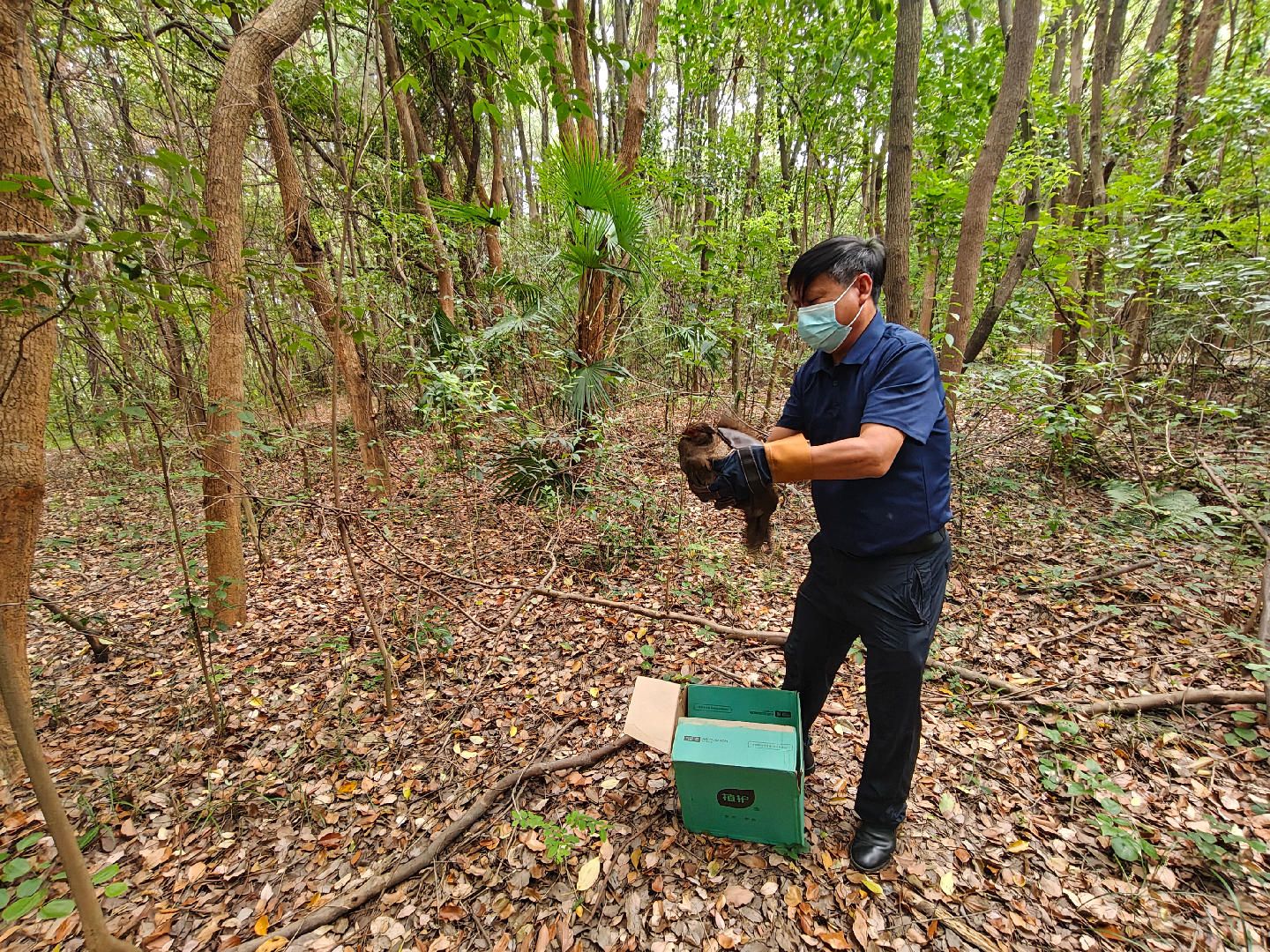 永修：不速之客误闯办公室 野保部门放飞大自然