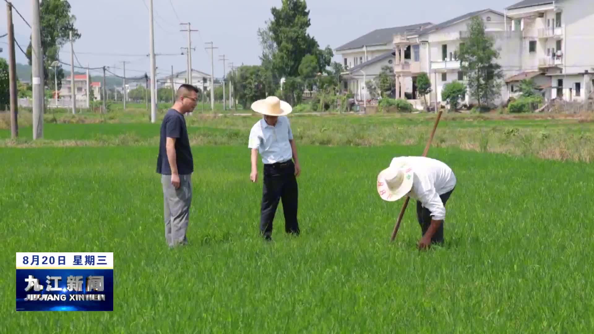 修水：干群齐心抗旱保民生