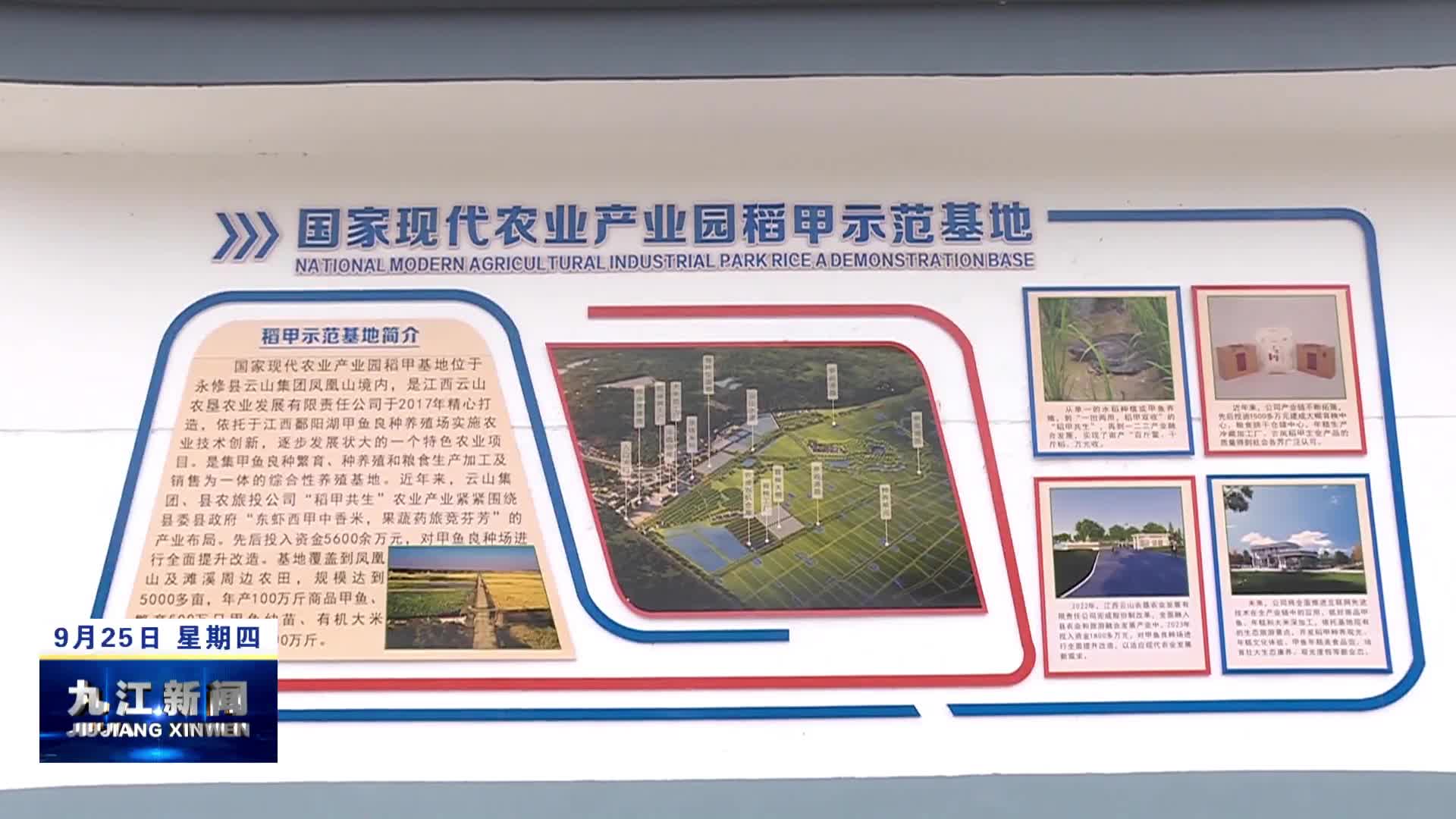 张莹在永修调研农业产业化工作