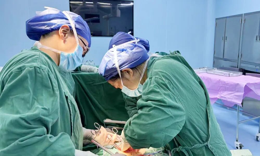 多学科协作！九江学院附属医院为子宫积脓破溃重度感染致休克患者实施紧急手术