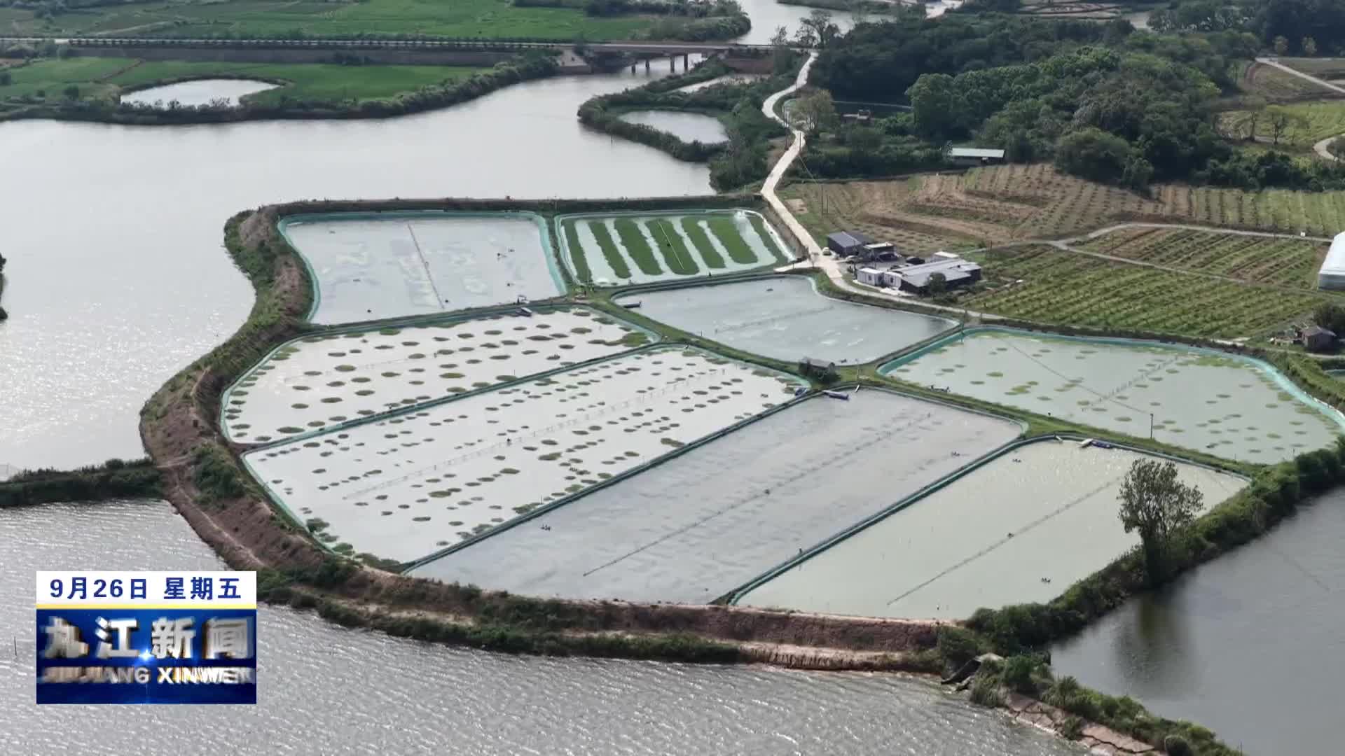 湖口：蟹肥人忙迎丰收