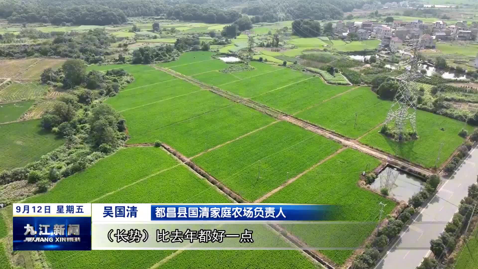 都昌：大力推广绿色防控　防治虫害保丰收