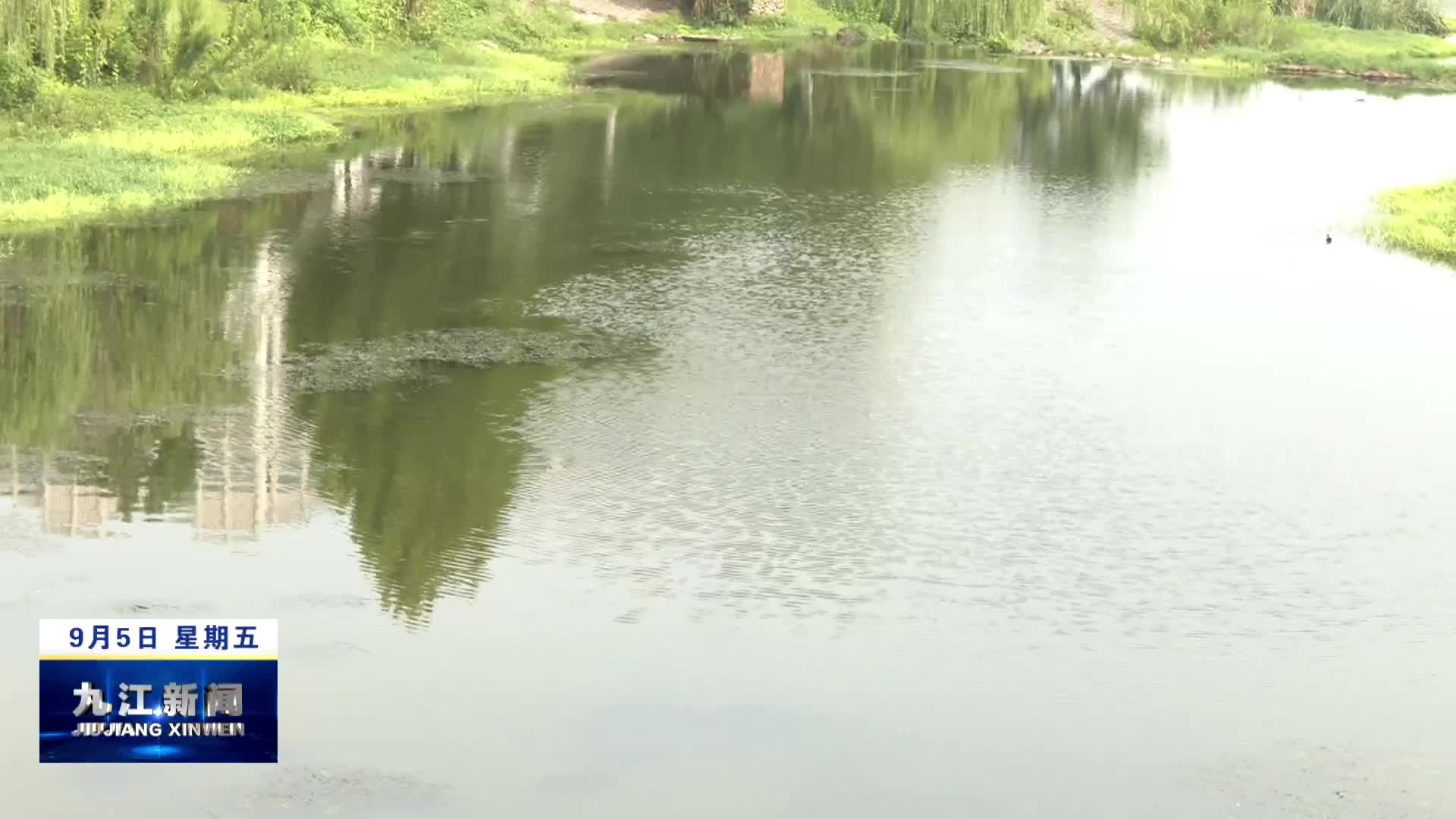 市领导调研督导中心城区“六湖九河”综合治理工作