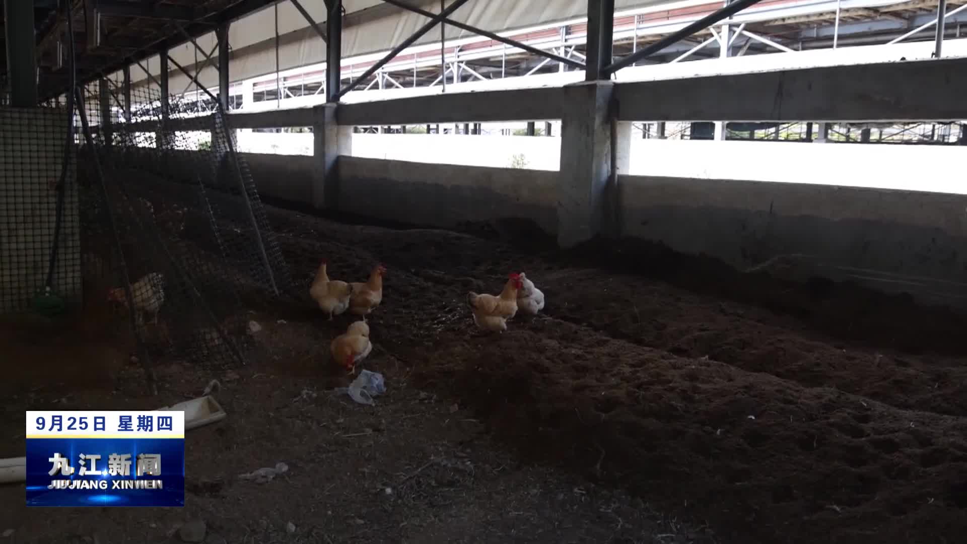 修水：立体养殖创效益 生态农业新图景