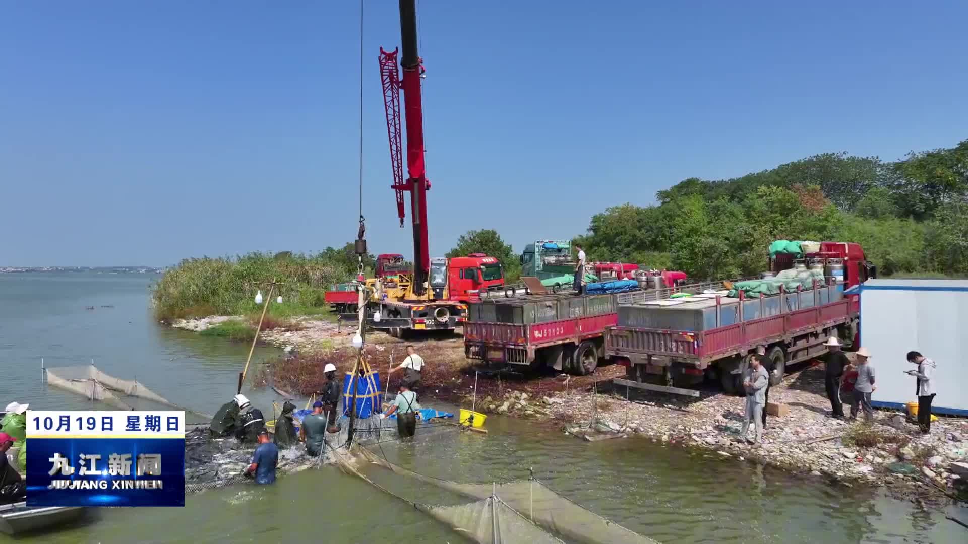 共青城：鱼跃人欢秋捕忙