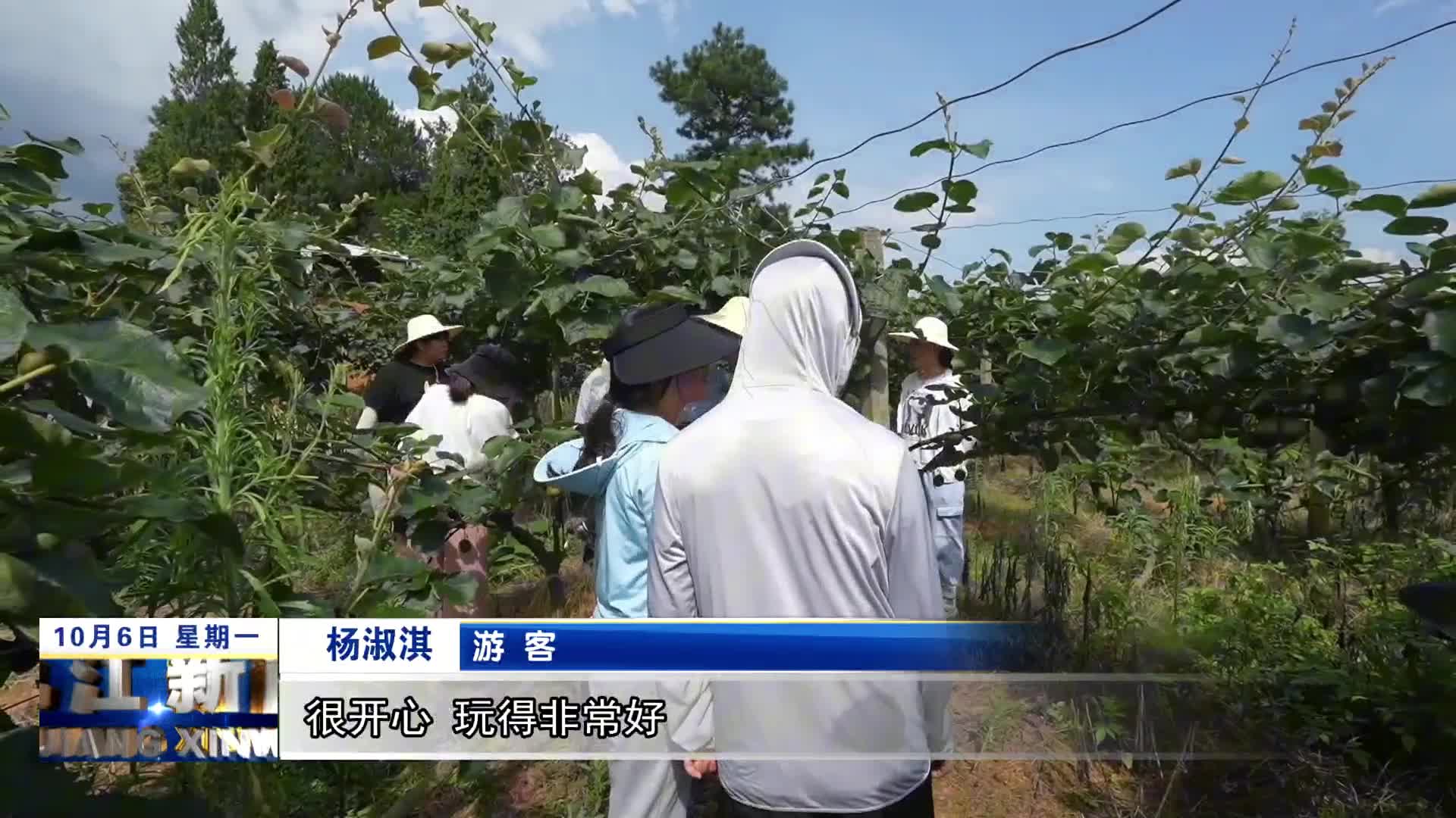 武宁：近郊休闲游受热捧 乡村采摘生意火爆