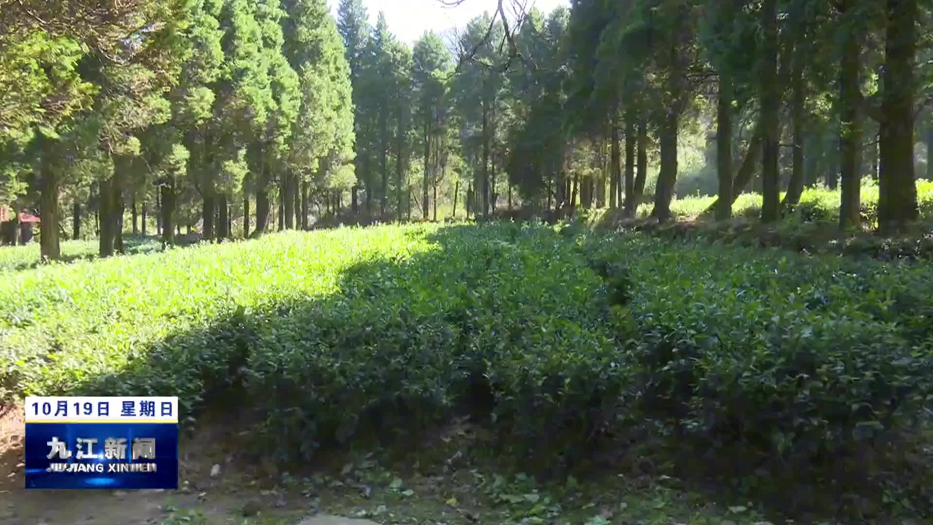 江西省经济作物试验站与九江职业大学开展教学实践和科研合作