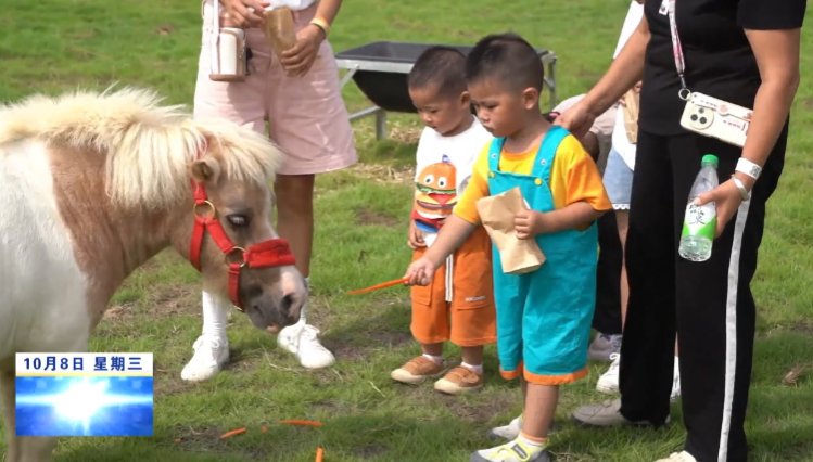 庐山西海：嗨橘派乐园开园 亲子出游欢乐多