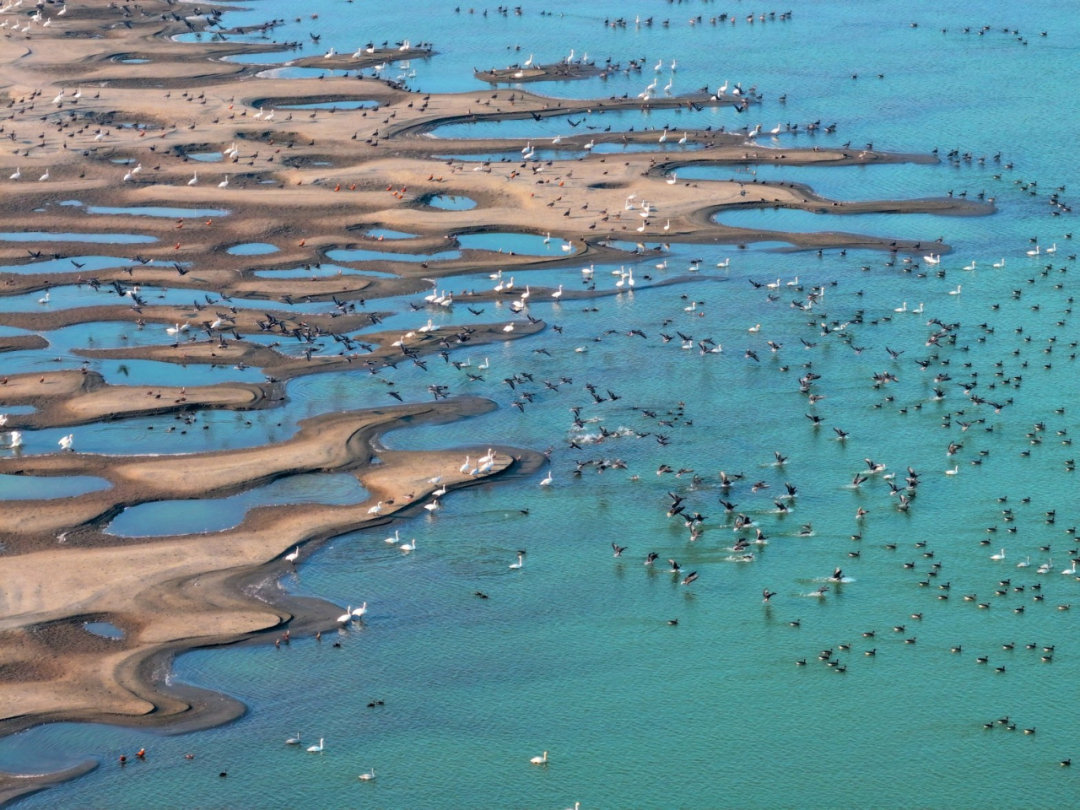 九江缘何成为江西第二座国际湿地城市